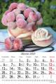 Bukiety_2023-2