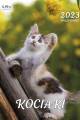 Kociaki_2023-cover