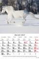 Konie_2023-1