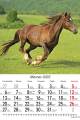 Konie_2023-2