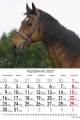 Konie_2023-5