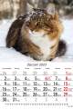 Koty_2023-1