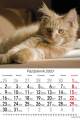 Koty_2023-5