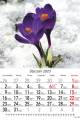 Kwiaty_2023-1