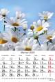 Kwiaty_2023-2
