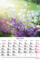 Kwiaty_2023-3
