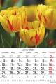 Kwiaty_2023-4