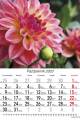 Kwiaty_2023-5