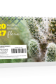 5904257476036_BIUROWY-FLORA_okladka_small