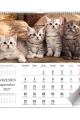 5904257475787_KAL_KOCIAKI_-LUX_2027_srodki_small
