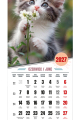 5904257476142_SZESCIOPLANSZOWY-PREMIUM-spirala_kociaki-srodek_small