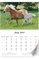 5904257475794_jednomiesieczny-lux-konie_2027