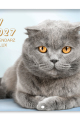 5904257475817_jednomiesieczny-lux-koty_2027_okladka