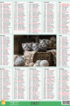 5904257475947_Miniplakat_2027_wzor_1_kociaki