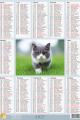 5904257475947_Miniplakat_2027_wzor_3_koty