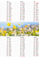 5904257476692_plakat-max_2027_wybrany_do-kor-3-2