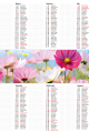5904257476692_plakat-max_A3_2027_wybrany_do-kor-3-3