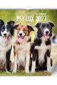5904257475787_KAL_PSY_-LUX_2027_okladka_small