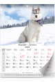 5904257475756_KAL_-SZESCIOPLANSZOWY_MAX_Psy_srodek