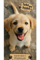 5904257476142_SZESCIOPLANSZOWY-PREMIUM-spirala_psy-okladka_small