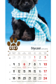 5904257476142_SZESCIOPLANSZOWY-PREMIUM-spirala_psy-srodek_small