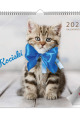 5904257474742_KAL_KOCIAKI_-LUX_okladka