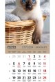 5904257472557_SZESCIOPLANSZOWY-PREMIUM-spirala_kociaki-srodek