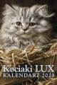 Kociaki-LUX-2023-cover