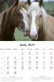 Konie_LUX_2023-1