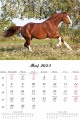 Konie_LUX_2023-2