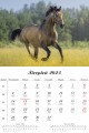 Konie_LUX_2023-3