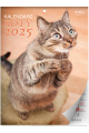 5904257473691_KAL-SZESCIOPLANSZOWY-A4_2025_KOTY_OKLADKA
