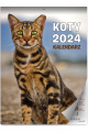 Kalendarz-szesciplanszowy-a4_koty_HURT