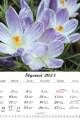 Kwiaty_LUX-2023-srodek-1
