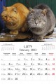 Koty_LUX_2023-1