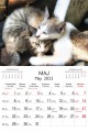 Koty_LUX_2023-2