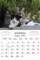 Koty_LUX_2023-3