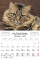 Koty_LUX_2023-4