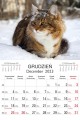 Koty_LUX_2023-5