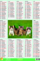 Mini-plakat_2026_kociaki