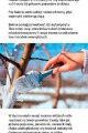 Poradnik-Tygodniowy-Dzialkowca-2023-2