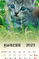 Kalendarz-Premium-Kociaki-4