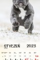 Kalendarz-Premium-Szczeniaki-1