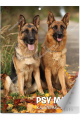 5904257475053_KAL_-SZESCIOPLANSZOWY_MAX_PSY_okladka