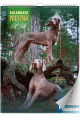 5904257475176_KAL-SZESCIOPLANSZOWY-PRESTIGE_2025_PSY_OKLADKA