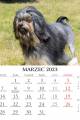 Psy_LUX-2023-srodek-2