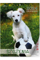 Kalendarz-szesciplanszowy-a4_szczeniaki