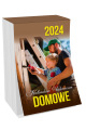 vademecum_okladka_domowe